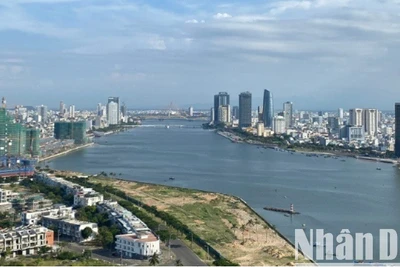 Thủ tướng Chính phủ phê duyệt thành lập Khu thương mại tự do thành phố Đà Nẵng. (Ảnh: ANH ĐÀO)