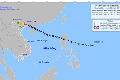 Đường đi của áp thấp nhiệt đới suy yếu từ bão số 11. 