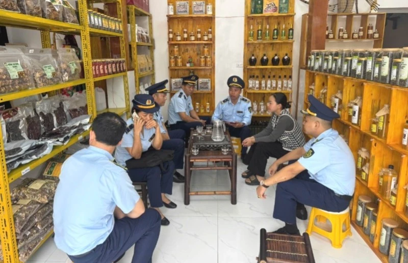 Chi cục Quản lý thị trường tỉnh Hà Giang kiểm tra cơ sở sản xuất rượu không có giấy phép tại huyện Quản Bạ.