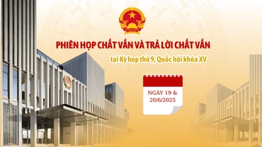 [Infographic] Chất vấn các nhóm vấn đề thuộc lĩnh vực tài chính, giáo dục và đào tạo tại Kỳ họp thứ 9, Quốc hội khóa XV