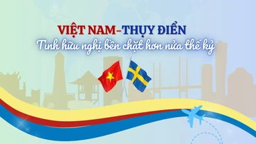 [Infographic] Việt Nam-Thụy Điển: Tình hữu nghị bền chặt hơn nửa thế kỷ