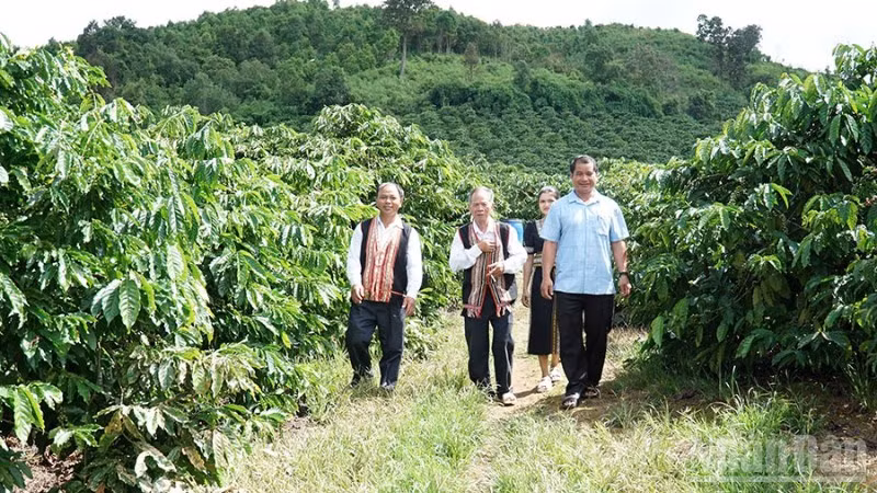 Đội ngũ già làng, trưởng thôn, người có uy tín trong đồng bào dân tộc thiểu số ở Quảng Ngãi thể hiện rõ vai trò cầu nối giữa cấp ủy, chính quyền với đồng bào các dân tộc, góp phần xây dựng hệ thống chính trị tại địa phương. (Ảnh HIỂN CỪ)
