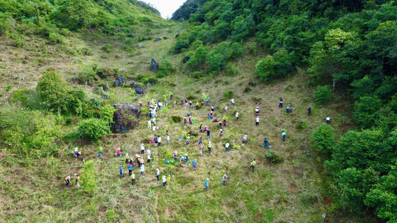 Trong năm 2024, chiến dịch “Góp lá vá rừng - Vì một Việt Nam xanh và phát triển bền vững” đã trồng được 35 nghìn cây xanh và phục hồi được 53ha rừng. 