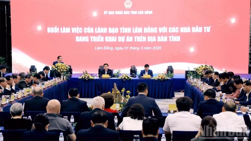 Quang cảnh buổi làm việc.
