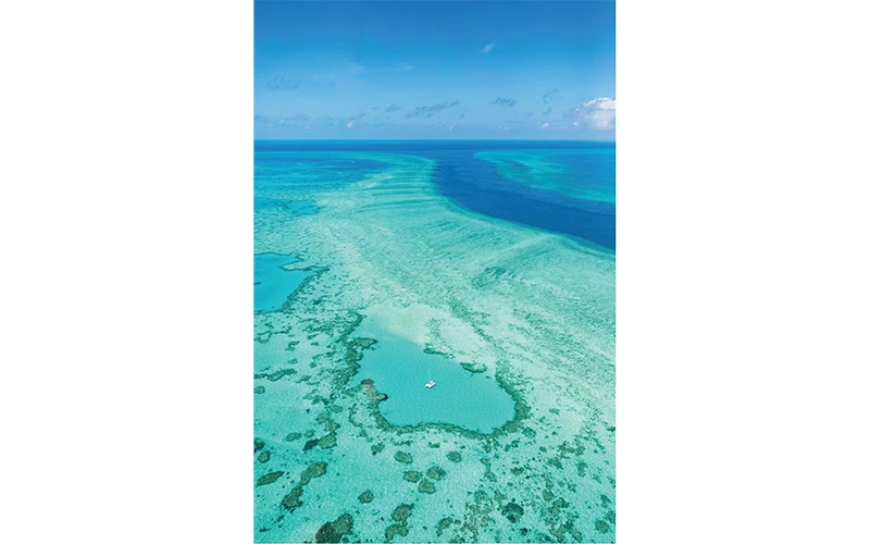 Ảnh: THE national geographic