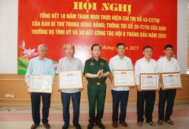 Lãnh đạo Hội Nạn nhân chất độc da cam/dioxin Việt Nam trao Bằng khen cho các tập thể, cá nhân.