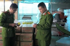 Lực lượng Công an thu giữ hàng trăm thùng các-tông chứa giấm giả do Lê Thị Lộc sản xuất.