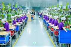 Công nhân làm việc tại Công ty TNHH Luxshare-ICT Nghệ An thuộc Khu công nghiệp VSIP Nghệ An 1.