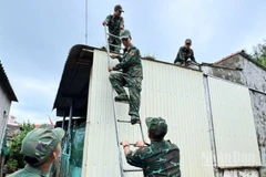 Lực lượng quân đội đóng chân trên địa bàn đặc khu Lý Sơn hỗ trợ người dân chằng chống nhà cửa.