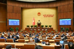 Quốc hội thông qua Luật Giám định tư pháp (sửa đổi) với đa số đại biểu tán thành (92,81%). (Ảnh: DUY LINH)