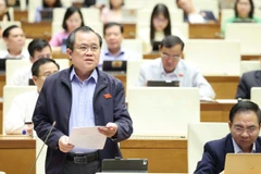 Đại biểu Nguyễn Tâm Hùng (Đoàn Thành phố Hồ Chí Minh). (Ảnh: DUY LINH)