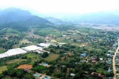 Dòng vốn tín dụng chính sách xã hội đang lặng lẽ lan tỏa, mở ra hướng đi mới cho người dân huyện Quế Phong (cũ).