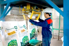 Các nhà máy trong nước đã sản xuất được hầu hết các loại phân bón chủ lực.