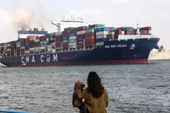 Một tàu chở hàng di chuyển trên Kênh đào Suez ở tỉnh Ismailia, Ai Cập, ngày 13/1/2024. (Ảnh: XINHUA)