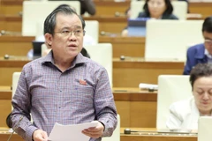 Đại biểu Nguyễn Tâm Hùng (Đoàn Thành phố Hồ Chí Minh). (Ảnh: DUY LINH)