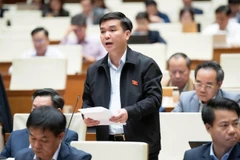 Đại biểu Hà Sỹ Huân (Đoàn Thái Nguyên) phát biểu tại hội trường. (Ảnh: QH)