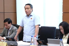 Đại biểu Hà Sỹ Đồng (Đoàn Quảng Trị) phát biểu tại tổ. (Ảnh: TL)