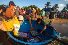 Gần 3 thập kỷ qua, Bivina đã trở thành một phần thân quen trong nhịp sống vùng duyên hải, nơi mỗi giọt mồ hôi đều thấm vị mặn của biển và niềm tự hào lao động.