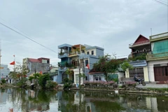 (Ảnh minh họa)