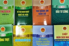 Nâng cao chất lượng kiểm tra, rà soát văn bản quy phạm pháp luật. (Ảnh minh hoạ. Nguồn: TT)