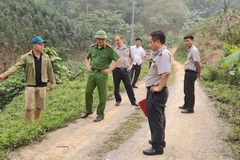 Một vụ thi hành án dân sự tại địa phương. (Ảnh: TH)
