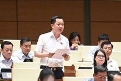 Đại biểu Trịnh Xuân An (Đoàn Đồng Nai) phát biểu tại hội trường Quốc hội. (Ảnh: DUY LINH)