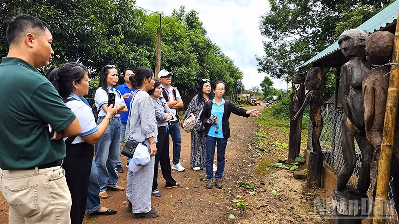 Du khách tham quan trải nghiệm, tìm hiểu về nhà mồ và tượng nhà mồ của đồng bào Jrai.