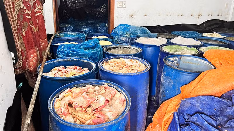 Gần 100 phi nhựa loại 200 lít chứa da, mỡ lợn đang trong tình trạng phân hủy.