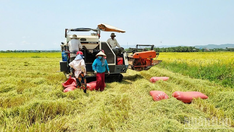 Nước tưới tiêu đến tận ruộng đồng giúp người dân có những mùa bội thu.