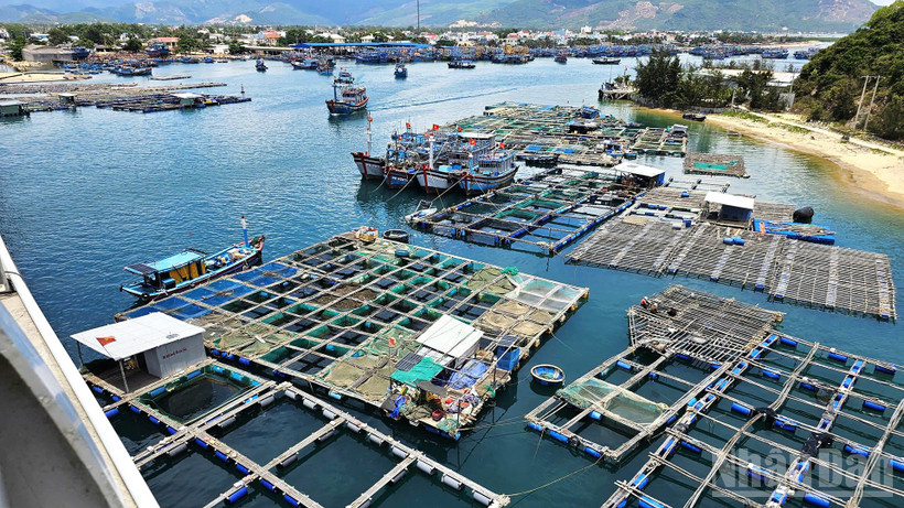 Ngành thủy sản góp phần đưa Gia Lai phát triển ổn định, bền vững và hiệu quả