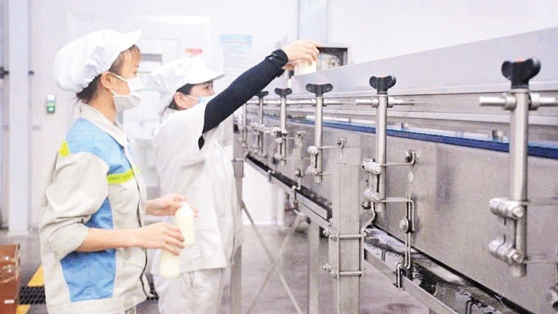 Công nghệ sản xuất sữa theo tiêu chuẩn hiện đại tại Vinamilk.