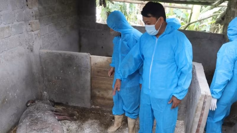 Các cấp chính quyền và lực lượng chức năng trong tỉnh đang nỗ lực kiểm soát và phòng, chống dịch.