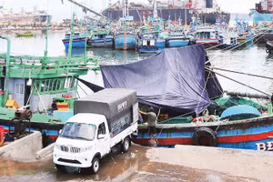 Mỗi năm cảng cá Quy Nhơn đón khoảng 11.000 lượt tàu thuyền ra vào.