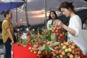 Công nhân khu công nghiệp Nội Hoàng, Bắc Giang trải nghiệm gian hàng vải thiều sau giờ tan ca.