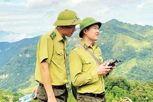 Cán bộ Hạt Kiểm lâm số 3 sử dụng thiết bị bay không người lái theo dõi diễn biến rừng.