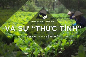 Hòa Bình Organic và sự “thức tỉnh” với nông nghiệp hữu cơ.