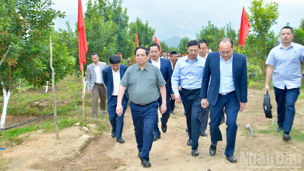 Thủ tướng Chính phủ Phạm Minh Chính thăm mô hình phát triển kinh tế nông nghiệp, trồng cây mắc-ca tại xã Pu Nhi. (Ảnh: THANH GIANG)
