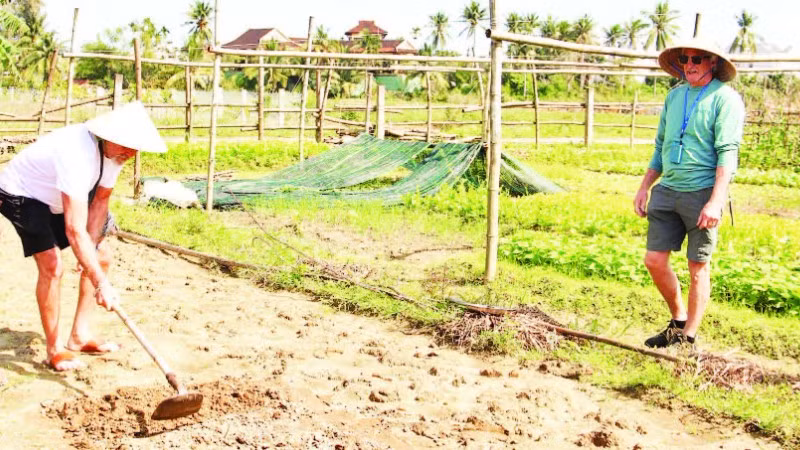 Khách du lịch trải nghiệm làm nông dân.