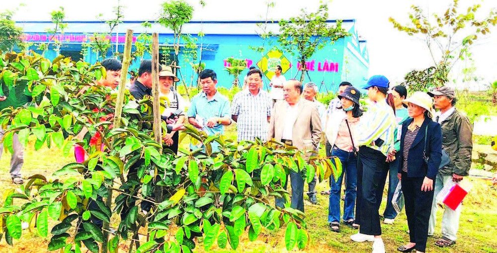 Ông Nguyễn Hồng Lam (áo vest), Chủ tịch Công ty cổ phần Tập đoàn Quế Lâm, Chủ tịch Hội Nông nghiệp tuần hoàn Việt Nam đang hướng dẫn cho bà con nông dân tại mô hình 4F.