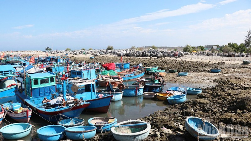 Khi thủy triều xuống, hàng trăm tàu cá có công suất lớn bị mắc cạn, không thể di chuyển được. ndo_br_4-3680.jpg