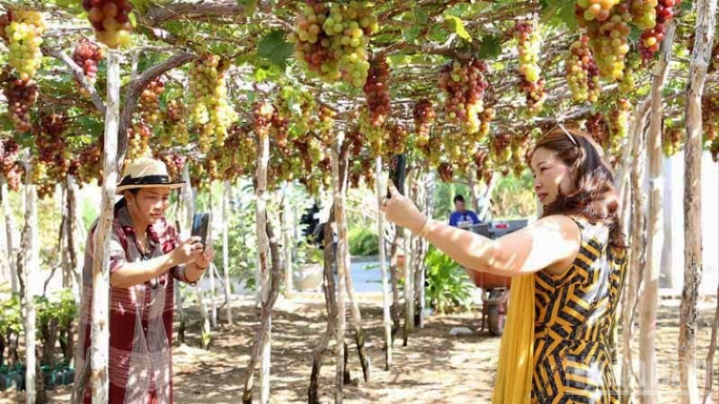 Du lịch cộng đồng tại xã Vĩnh Hải ngày càng thu hút du khách đến tham quan, trải nghiệm. ndo_br_de72f4d98df5f029c268f18e22b1d67f-4835.jpg