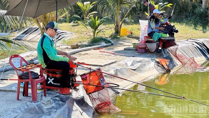 Nhiều người yêu thích câu cá để giải trí tìm đến khu câu cá Quốc Cường ngày càng đông. (Ảnh: NGUYỄN TRUNG)