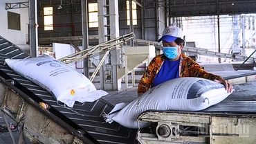 Cần Thơ đặt mục tiêu hằng năm cấp mới hoặc điều chỉnh, bổ sung giấy chứng nhận cho 7-10 doanh nghiệp khoa học và công nghệ.