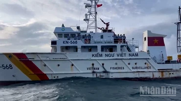 Đoàn tuần tra số 6, Chi cục Kiểm ngư Vùng 5 tuần tra trên biển.