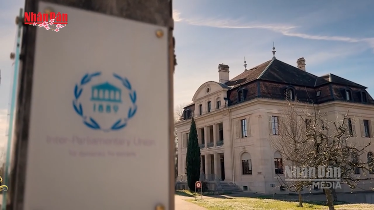 [Video] AI làm gia tăng bạo lực và đe dọa nhằm vào các chính trị gia 