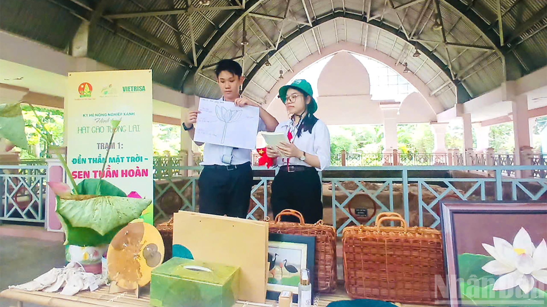 Cùng tìm hiểu về vòng tuần hoàn của sen