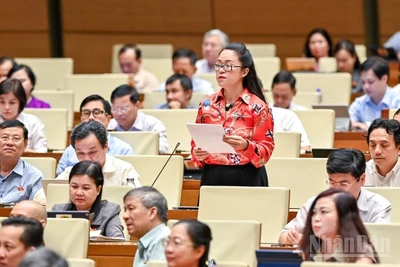 Đại biểu Dương Minh Ánh (Hà Nội) phát biểu. (Ảnh: DUY LINH)