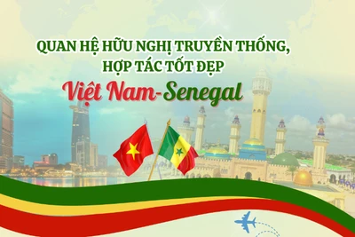 [Infographic] Quan hệ hữu nghị truyền thống Việt Nam-Senegal
