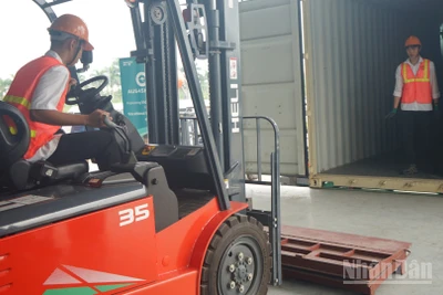 Sinh viên ngành logistics Trường Cao đẳng Hàng hải và Đường thủy 1 trong giờ thực hành mô phỏng. (Ảnh: TRUNG HƯNG)