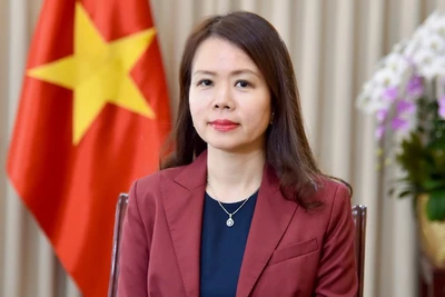 Thứ trưởng Ngoại giao Nguyễn Minh Hằng. (Ảnh: Báo Thế giới và Việt Nam)